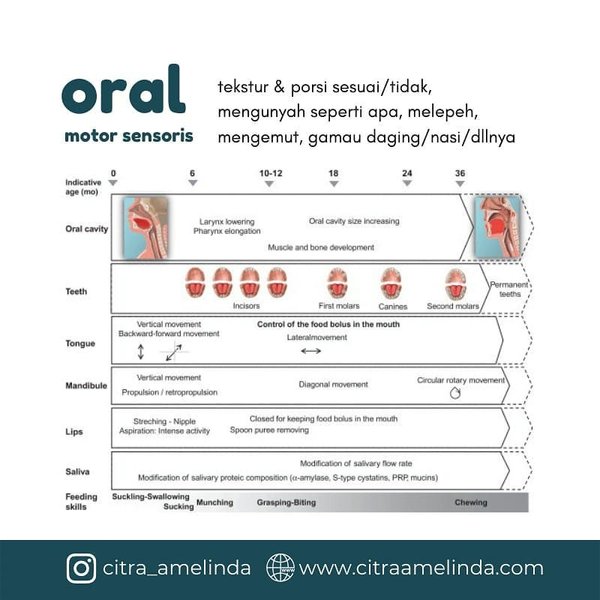 Thumbnail of cnes-cmrbi-c386fac1f2e64fa2 7