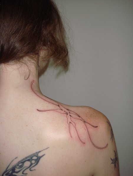 Thumbnail of p-dpgtbyycanx-c38b52c1225c47e6 1