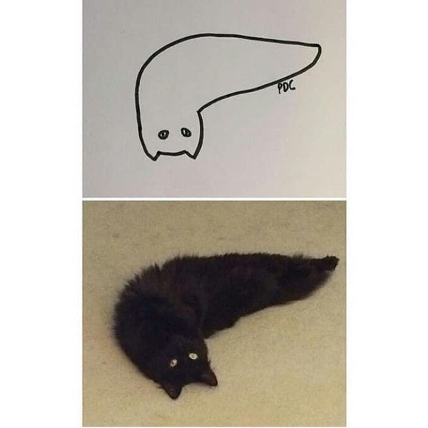 Thumbnail of p-borcjhgduyy-c3a30f49a64e471d 0