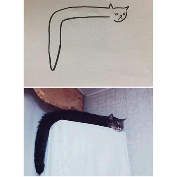 Thumbnail of p-borcjhgduyy-c3a30f49a64e471d 1