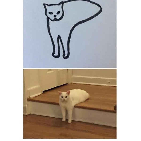 Thumbnail of p-borcjhgduyy-c3a30f49a64e471d 3