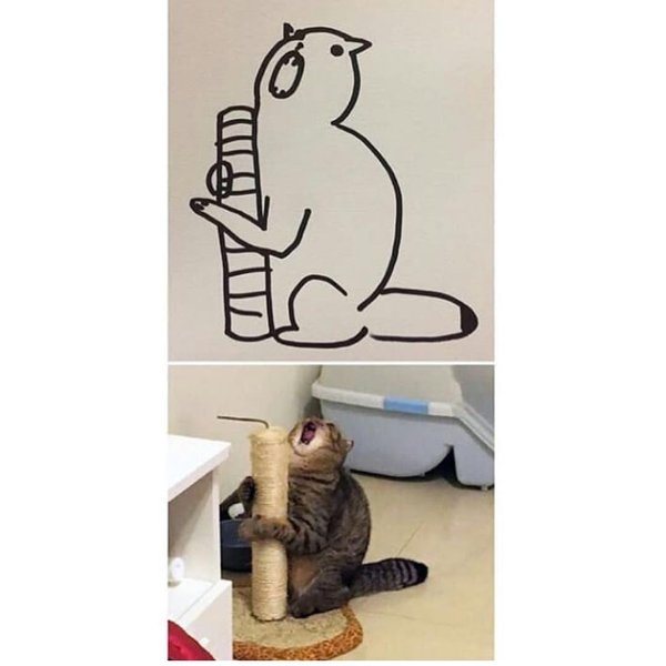 Thumbnail of p-borcjhgduyy-c3a30f49a64e471d 4