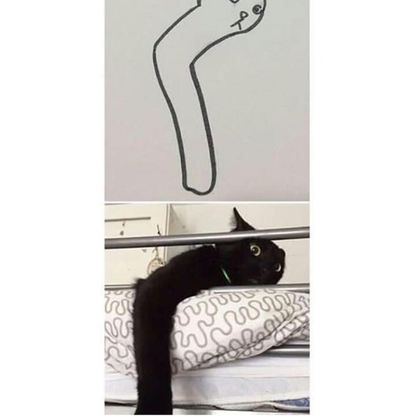 Thumbnail of p-borcjhgduyy-c3a30f49a64e471d 6