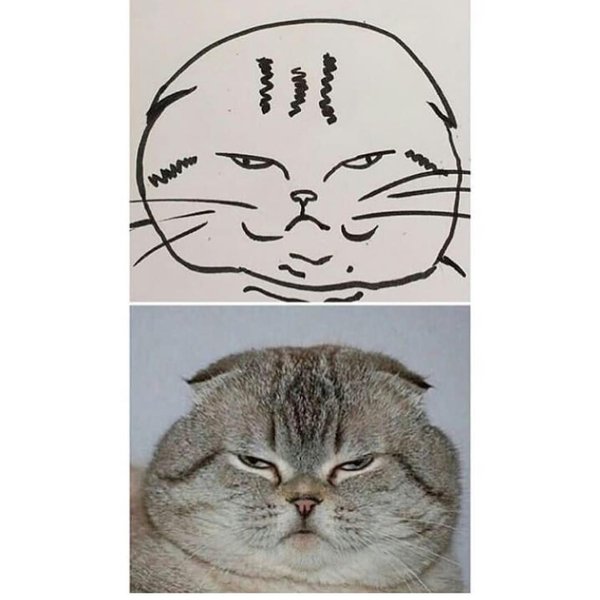 Thumbnail of p-borcjhgduyy-c3a30f49a64e471d 8