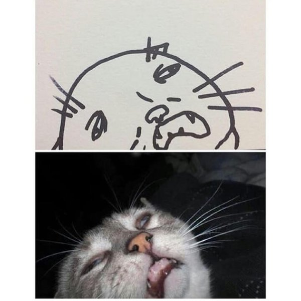 Thumbnail of p-borcjhgduyy-c3a30f49a64e471d 9