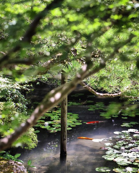 Thumbnail of p-cvdvcews0ie-c3b086d2075d4edb 1