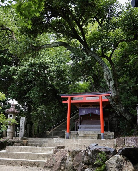 Thumbnail of p-cvdvcews0ie-c3b086d2075d4edb 2