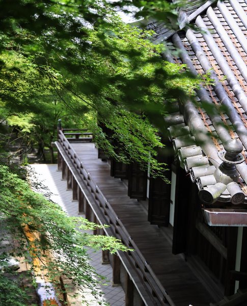 Thumbnail of p-cvdvcews0ie-c3b086d2075d4edb 6