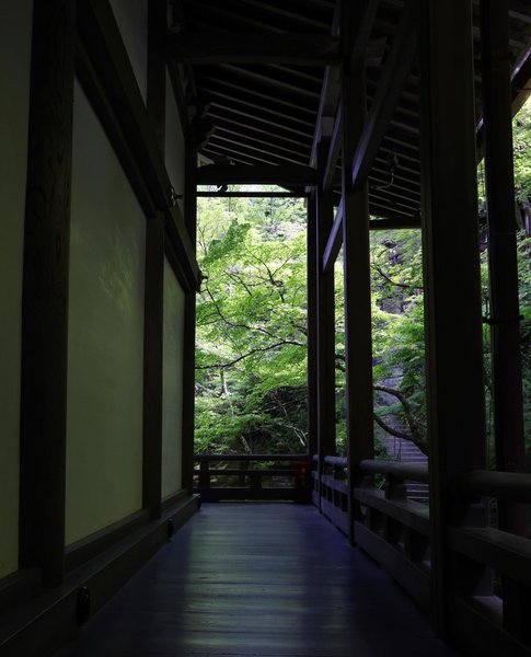 Thumbnail of p-cvdvcews0ie-c3b086d2075d4edb 7