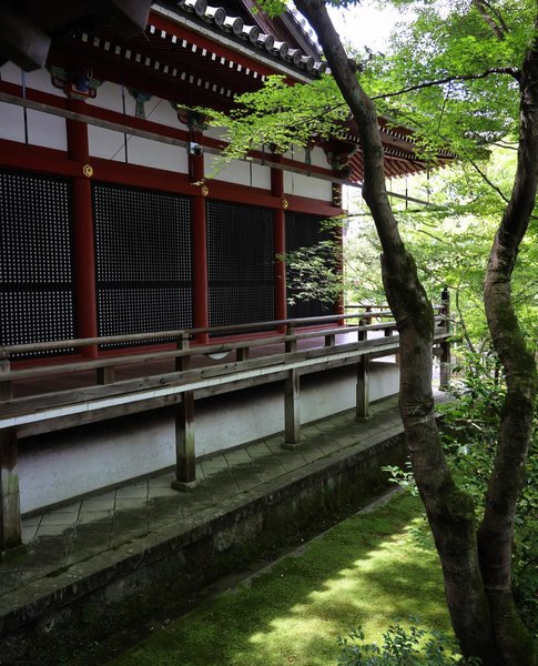 Thumbnail of p-cvdvcews0ie-c3b086d2075d4edb 9