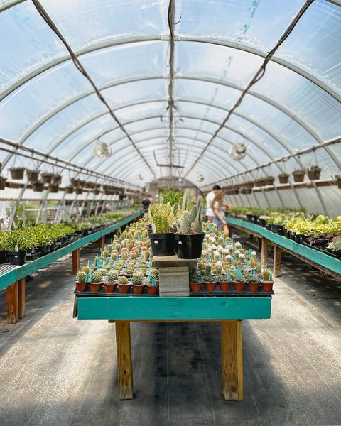 Thumbnail of cp3-3ivjcyh-c3bfcc7f7fa24f2d 1