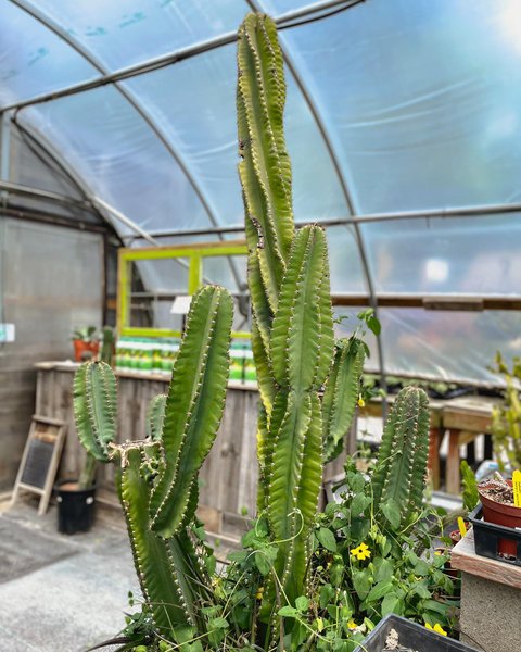 Thumbnail of cp3-3ivjcyh-c3bfcc7f7fa24f2d 3