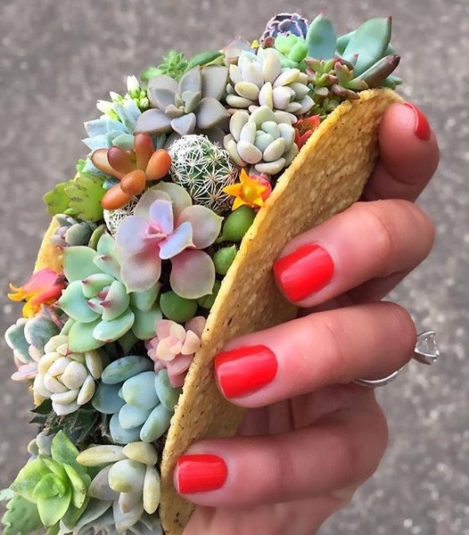 Thumbnail of p-bt144pajkqq-c3c6585fd48a4652 0