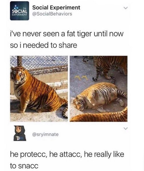 Thumbnail of p-brwgim3ny6r-c3ddec9ca5dd4b8b 0