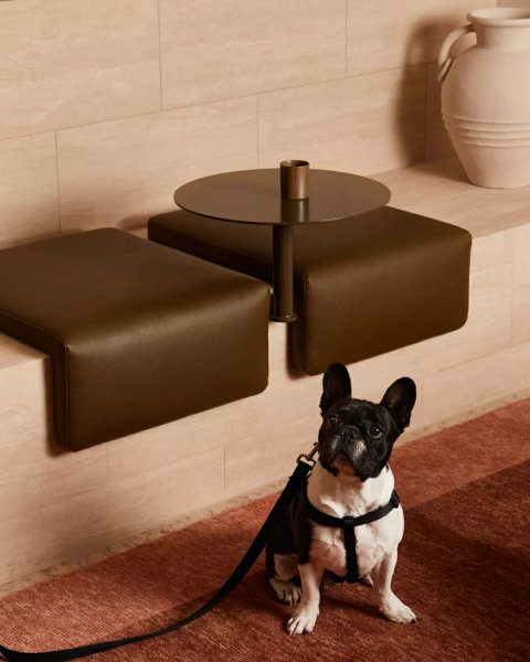 Thumbnail of p-dmm2emzvhhx-c42a2ca747764f47 5