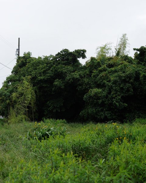 Thumbnail of p-cpnpctylvbe-c4410faecd5c4cea 0