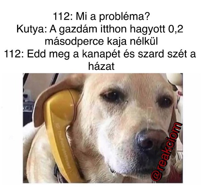 Thumbnail of bcnojfwb-ag-c443df16b3984b25 0