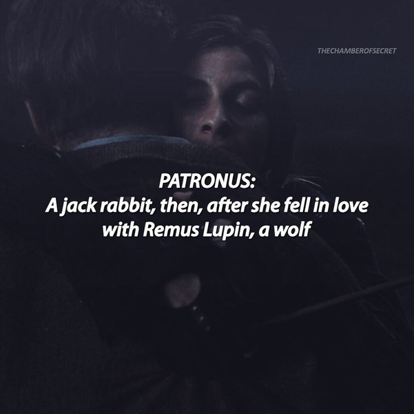 Thumbnail of p-bteovd2adkn-c4522be962e74172 3