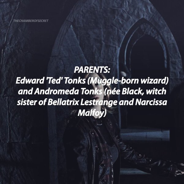 Thumbnail of p-bteovd2adkn-c4522be962e74172 4