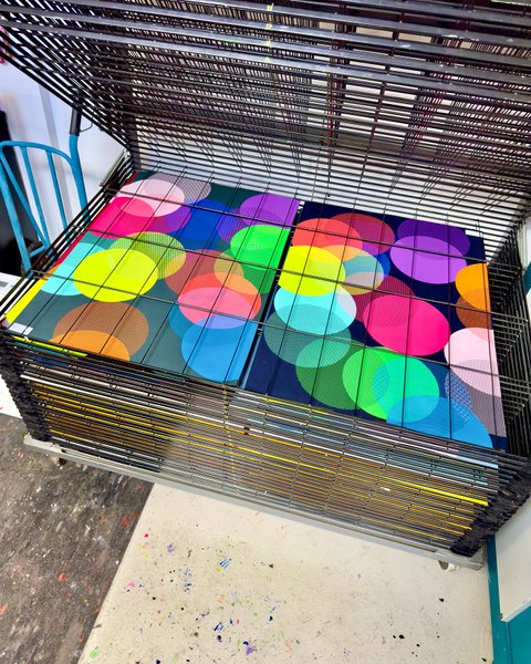 Thumbnail of p-dgjplkfiieb-c4605761db274783 7