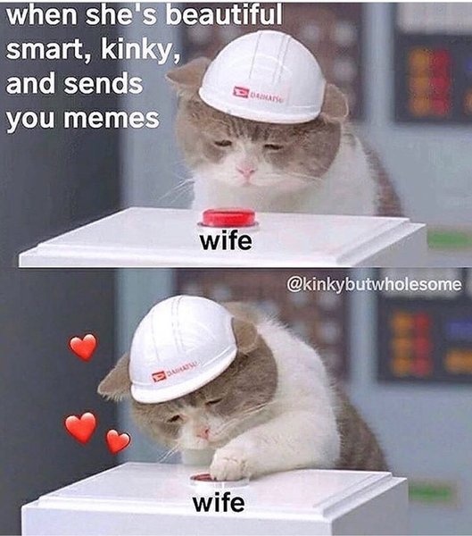 Thumbnail of p-b1uv1fflj0b-c481db4b53914086 0