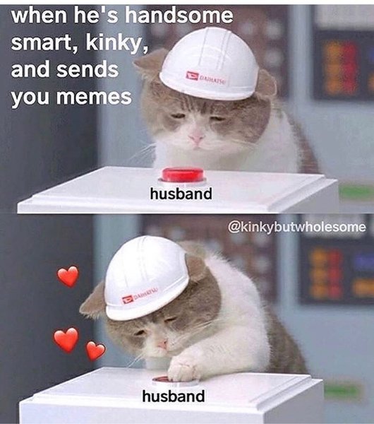 Thumbnail of p-b1uv1fflj0b-c481db4b53914086 1