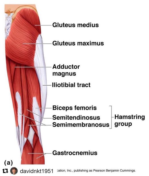 Thumbnail of p-bjpespgl4f1-c4ade57b06694821 0