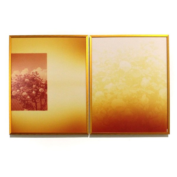 Thumbnail of b4leaj-l3x-c4b3e6ce350a490e 0