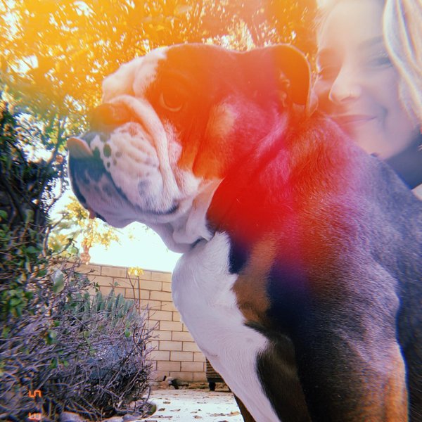 Thumbnail of b-xc5uqdmxo-c4edf1df013f44b3 2