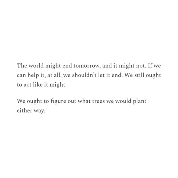 Thumbnail of p-dmdycljyk40-c504699db53c4605 8