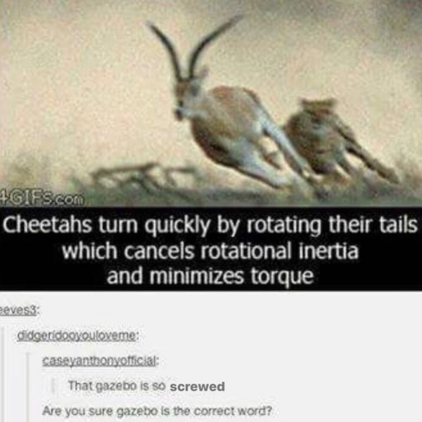 Thumbnail of p-b0sjdksgjmp-c5324c279e244614 0