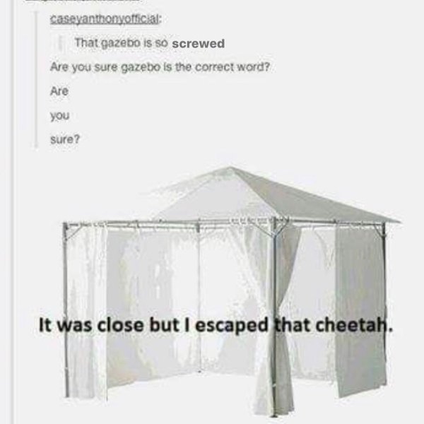 Thumbnail of p-b0sjdksgjmp-c5324c279e244614 1