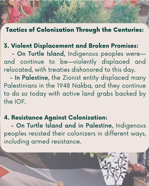 Thumbnail of c-eljm3yfsx-c53287597fe04abe 9