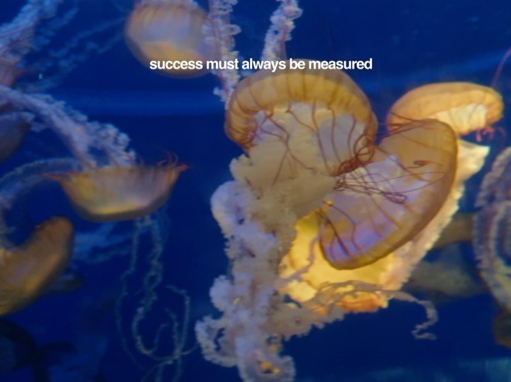 Thumbnail of c9qr-xqyyfy-c535744db53642a9 2