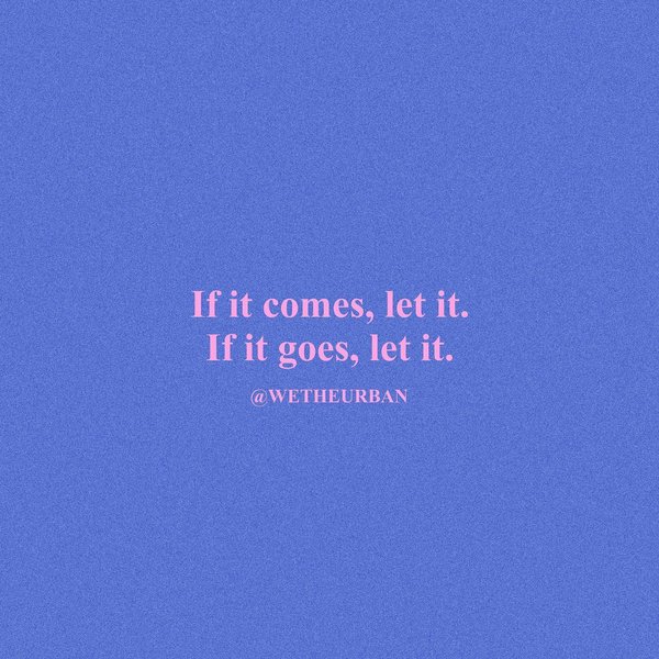 Thumbnail of ci8-msjpvm9-c5365c5882294934 6