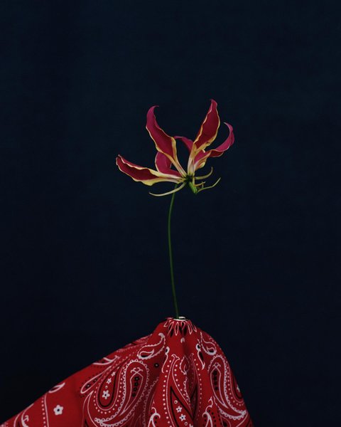 Thumbnail of p-cuc9y1arwmk-c549cfefd973403a 0