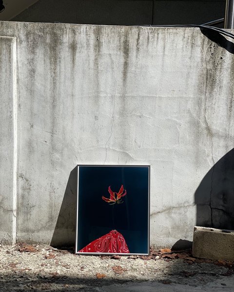 Thumbnail of p-cuc9y1arwmk-c549cfefd973403a 5