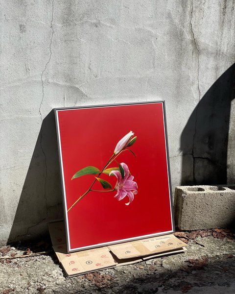 Thumbnail of p-cuc9y1arwmk-c549cfefd973403a 6