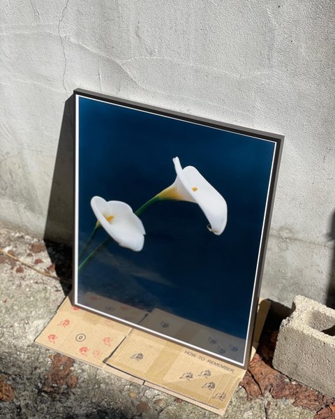 Thumbnail of p-cuc9y1arwmk-c549cfefd973403a 7