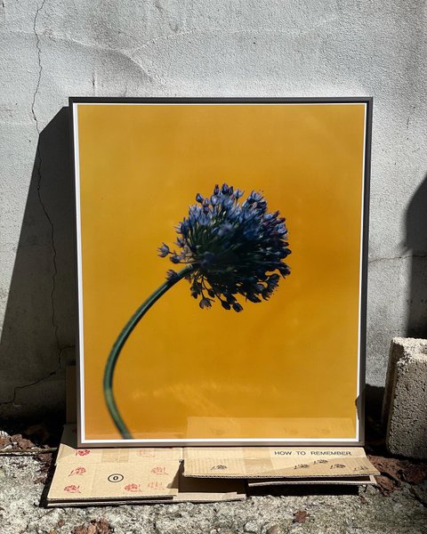 Thumbnail of p-cuc9y1arwmk-c549cfefd973403a 8