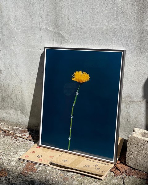 Thumbnail of p-cuc9y1arwmk-c549cfefd973403a 9