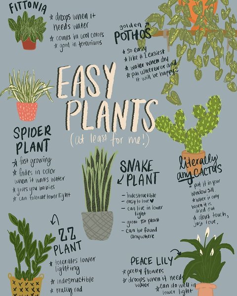 Thumbnail of p-cdfdeurg7oc-c54c382866f04d74 0