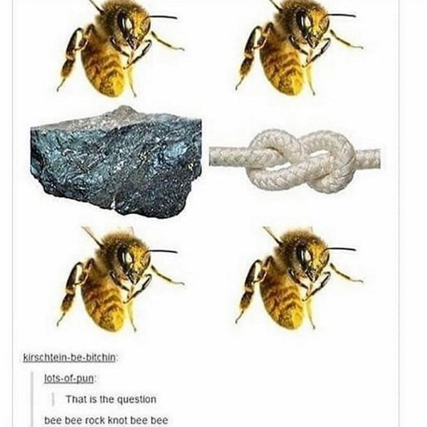 Thumbnail of b-f3olhfe43-c55a08662b254ae7 0