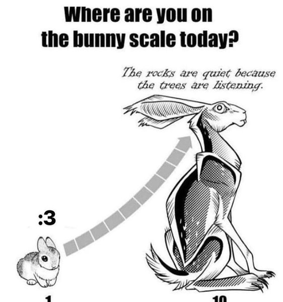 Thumbnail of p-cw3cujlywhi-c56281d178084508 0