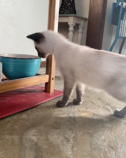 Thumbnail of cnxvjjby-xn-c564d421c8cd4e69 4