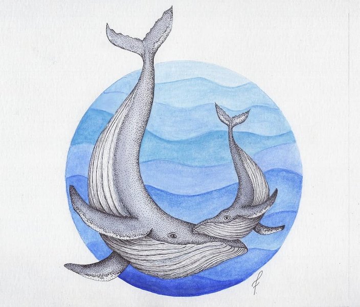 Thumbnail of cgwozkkp4-f-c5826fd5459848e6 0