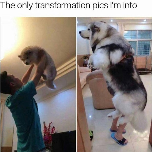 Thumbnail of p-brejw2pjaz6-c5e9992e19734a49 0