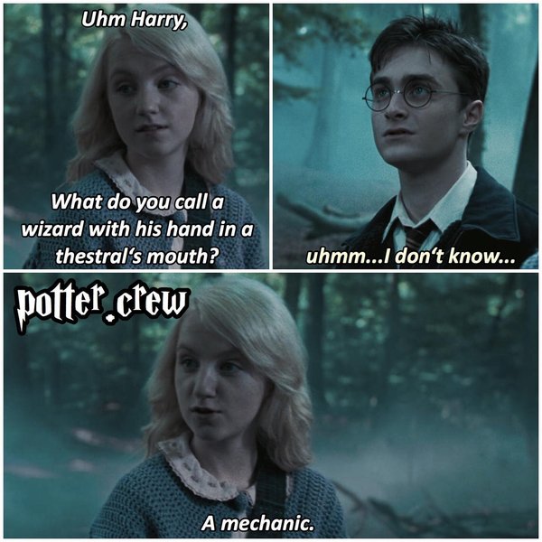 Thumbnail of p-bx9yxjbiqur-c5efc62d5a904259 3