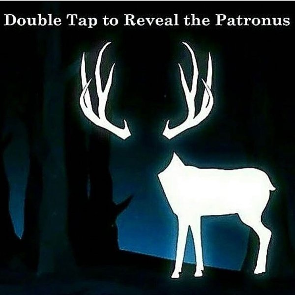 Thumbnail of p-bx9yxjbiqur-c5efc62d5a904259 8