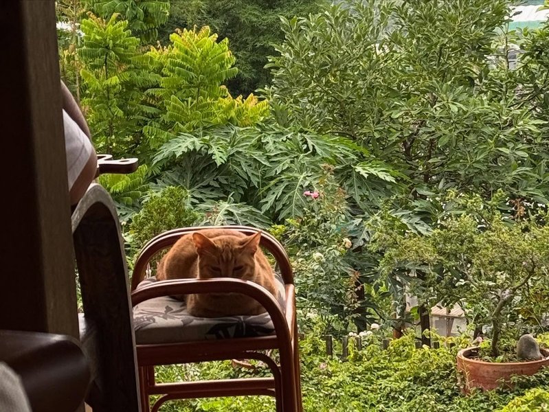 Thumbnail of p-djmhks7pwlt-c5f8c4c7f0d241f4 10